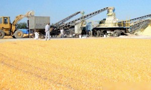 粮食成大国较量筹码，中方七大应急粮仓落成！“大争之世”已到，再无后顾之忧