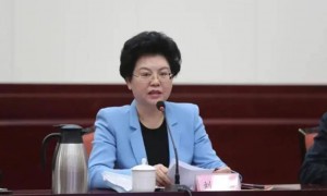 极目政情丨65岁正部级“女老虎”刘慧被查，曾长期在宁夏工作并担任政府主席