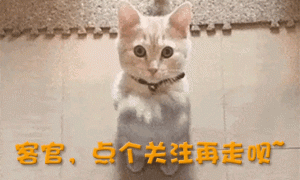 90年代，宗庆后与杜建英的一张合影，彻底揭开宗庆后的隐秘往事！